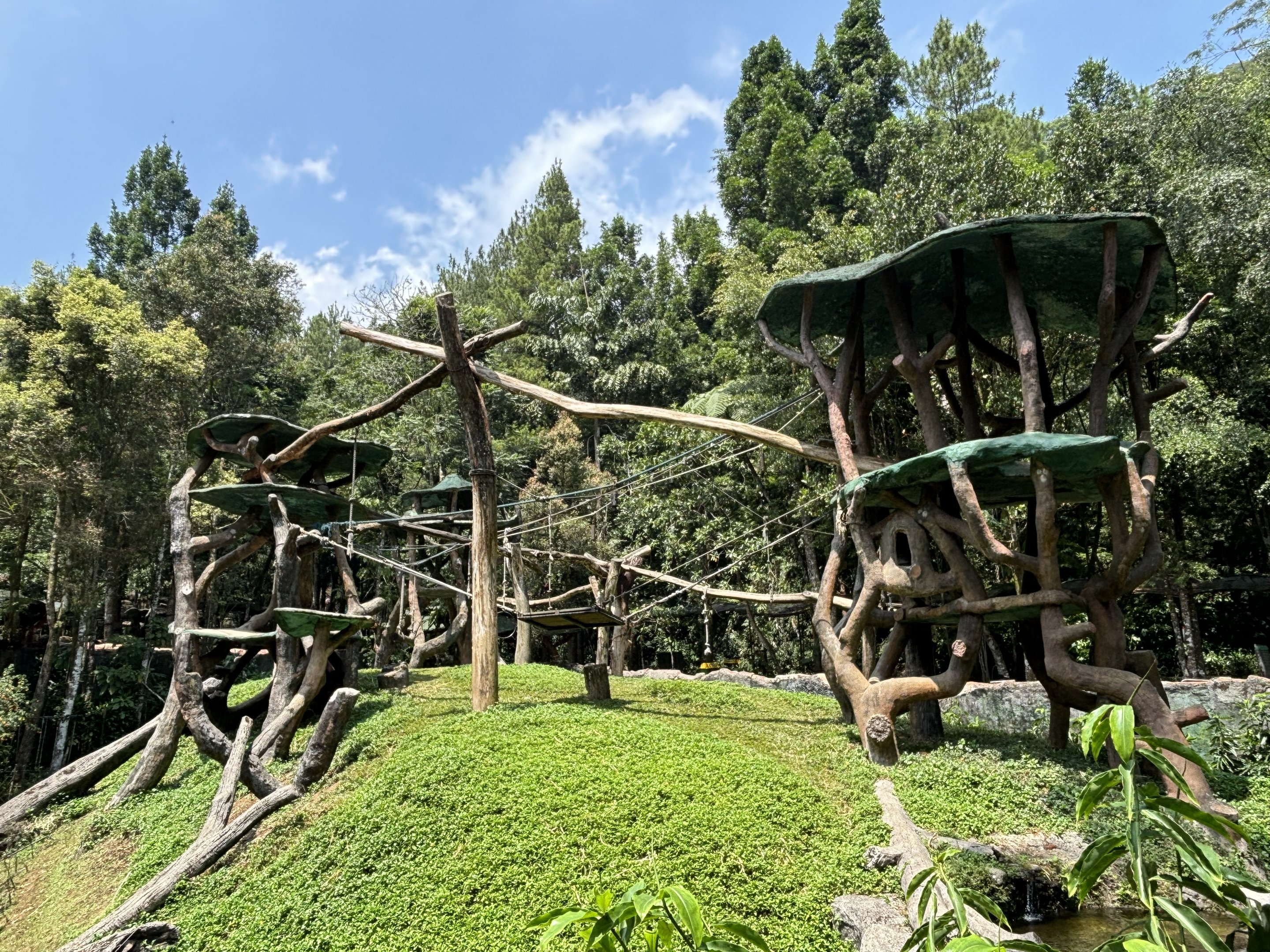 Bornean Orangutan Exhibit