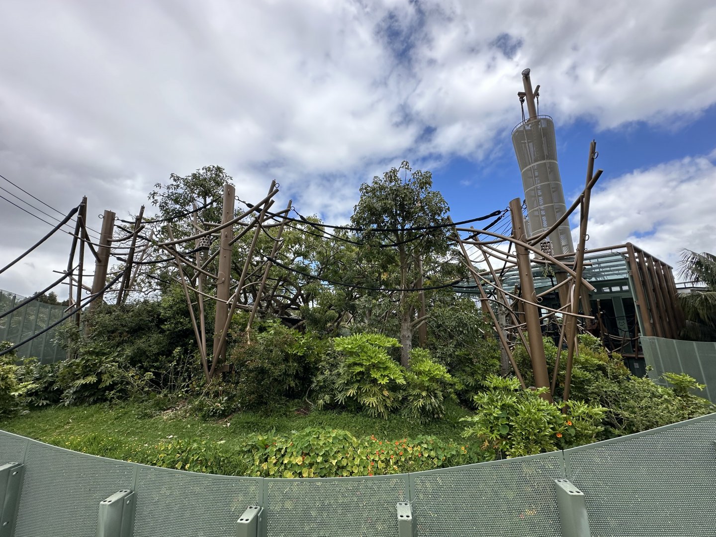 Bornean Orangutan Exhibit