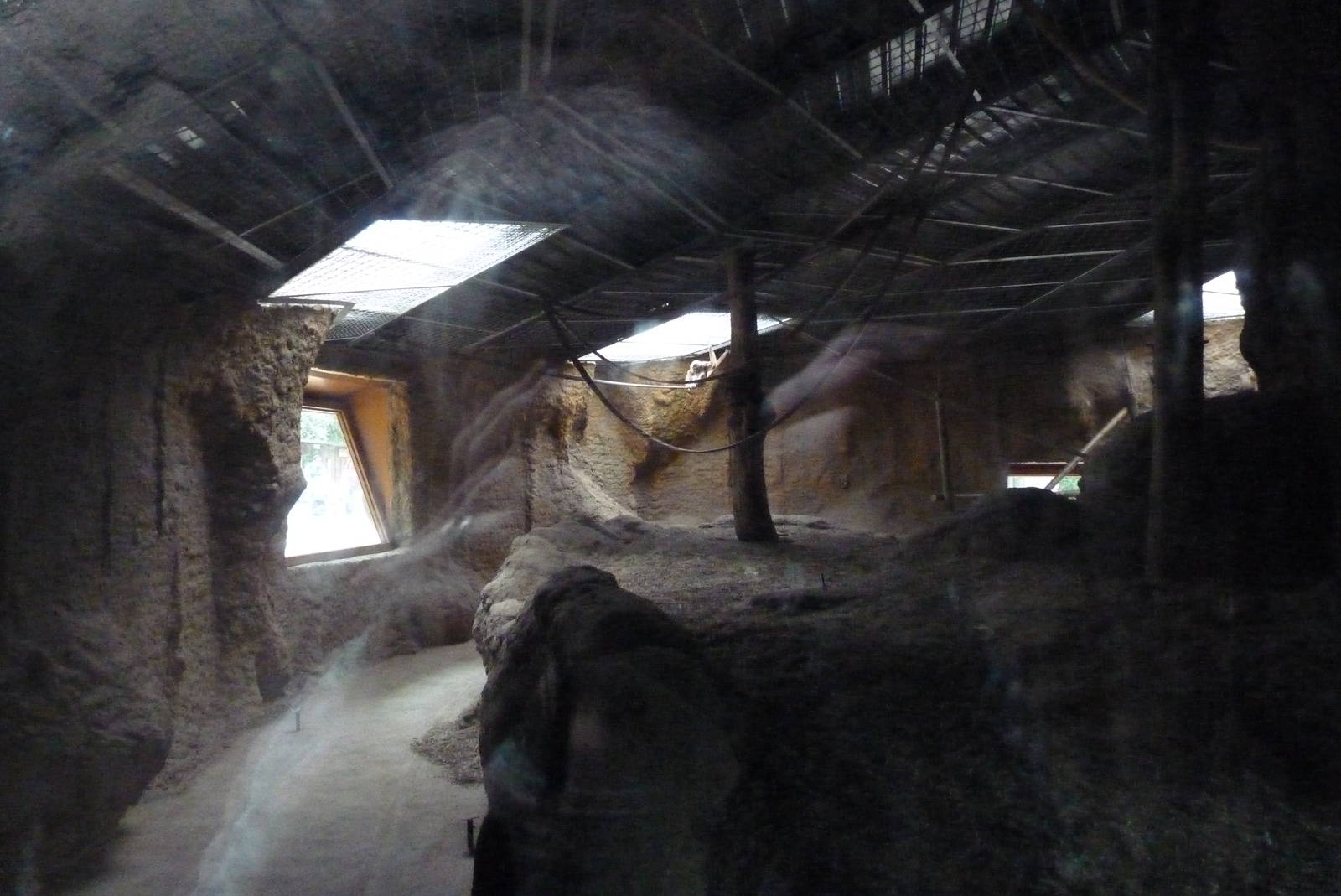 Bornean Orangutan House, June 2013