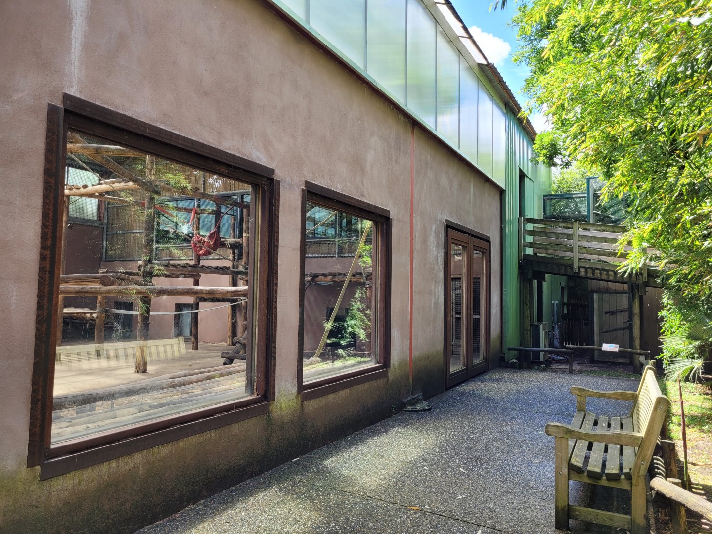 Bornean orangutan house lower view -Zoo du bassin d'Arcachon (2024)
