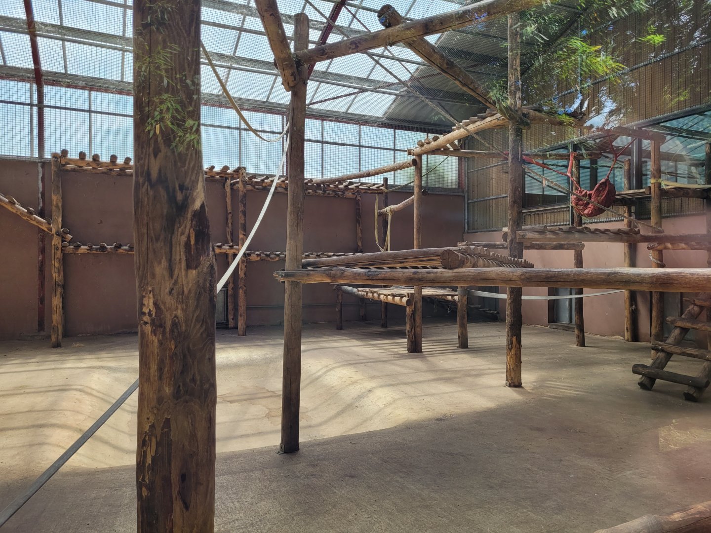 Bornean orangutan house lower view -Zoo du bassin d'Arcachon (2024)