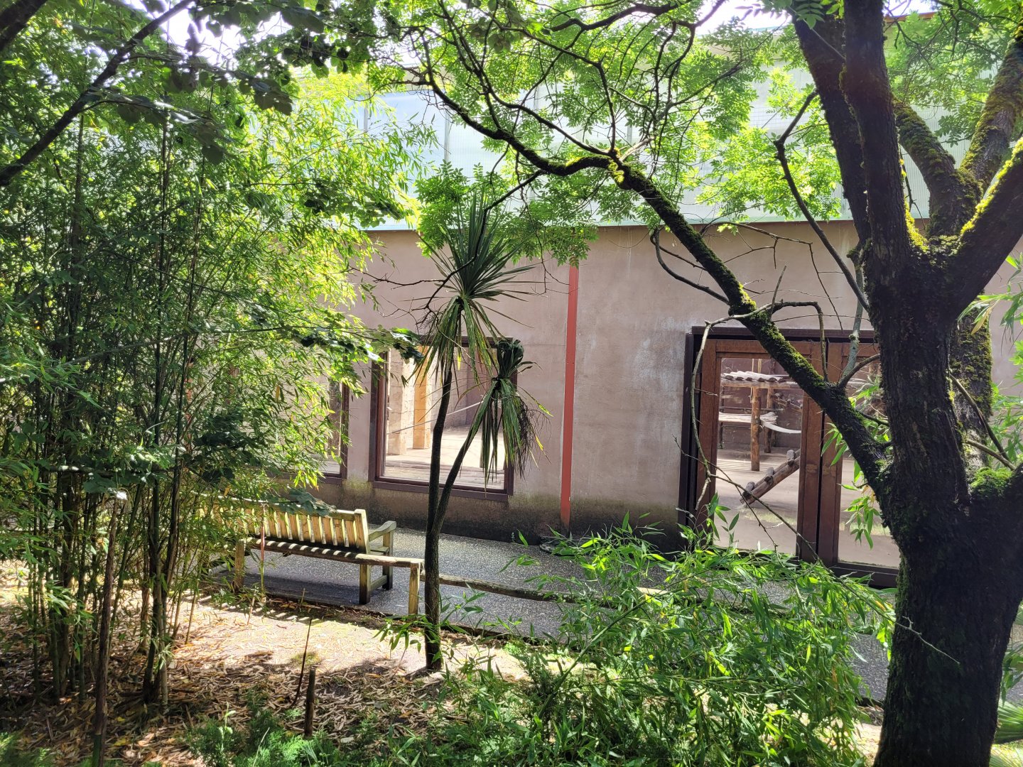 Bornean orangutan house view -Zoo du bassin d'Arcachon (2024)