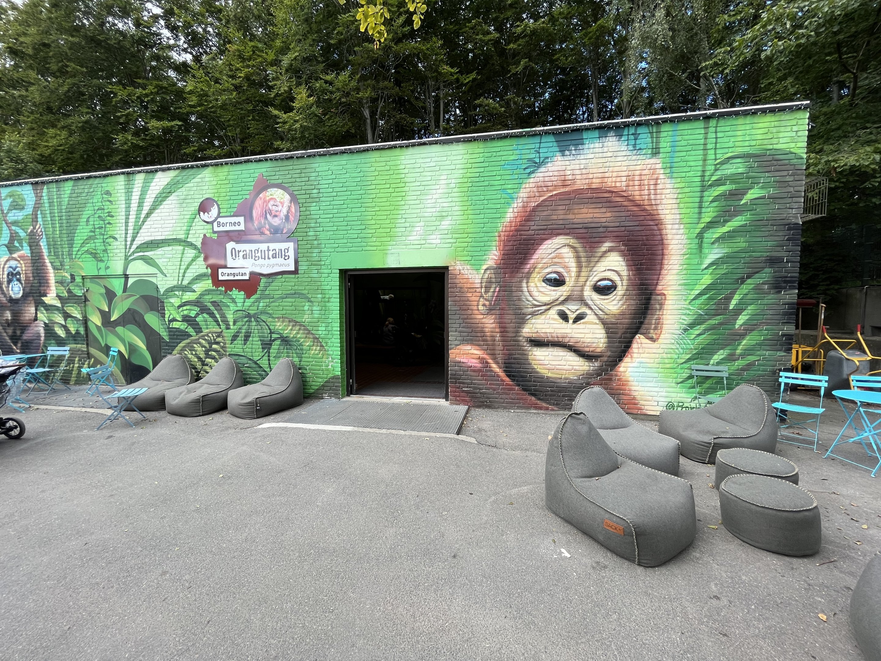 Bornean Orangutan House