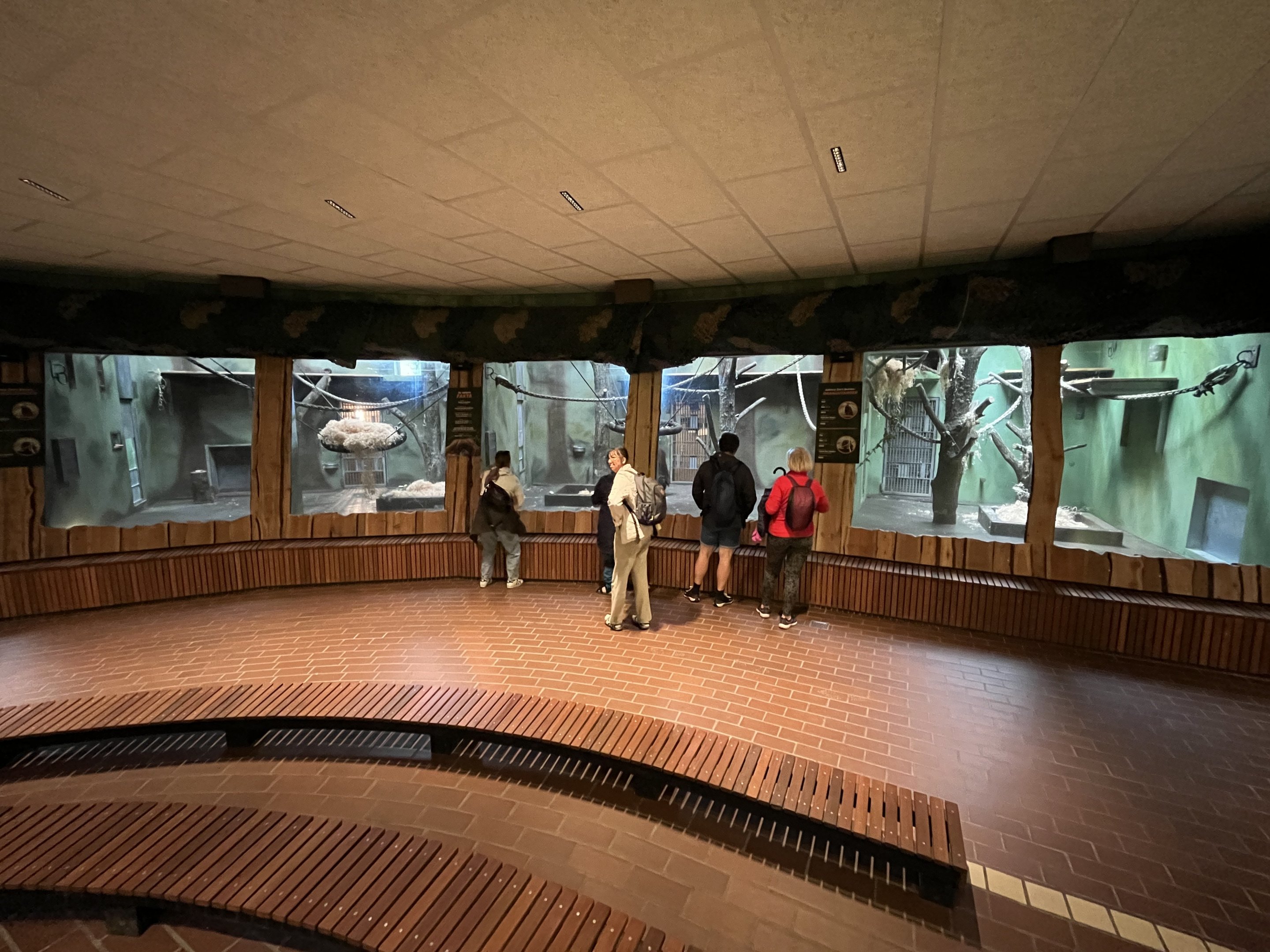 Bornean Orangutan House