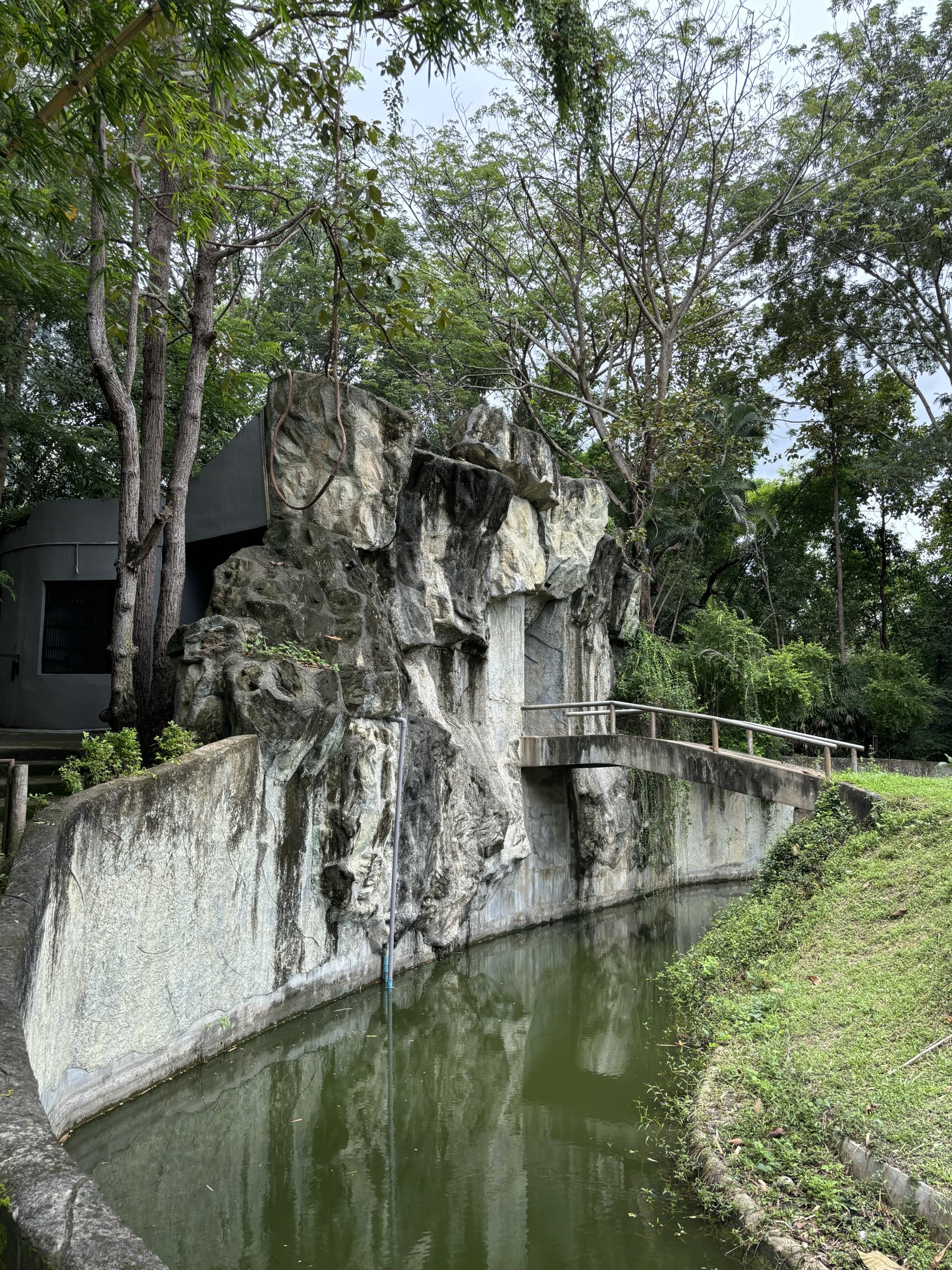 Bornean Orangutan House