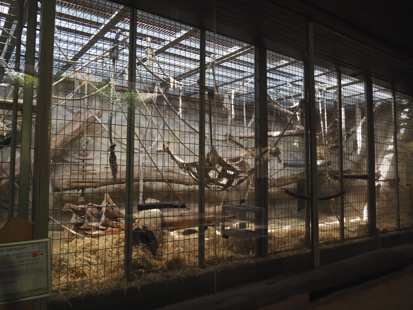 Bornean orangutan indoor exhibit, 2024-06-08