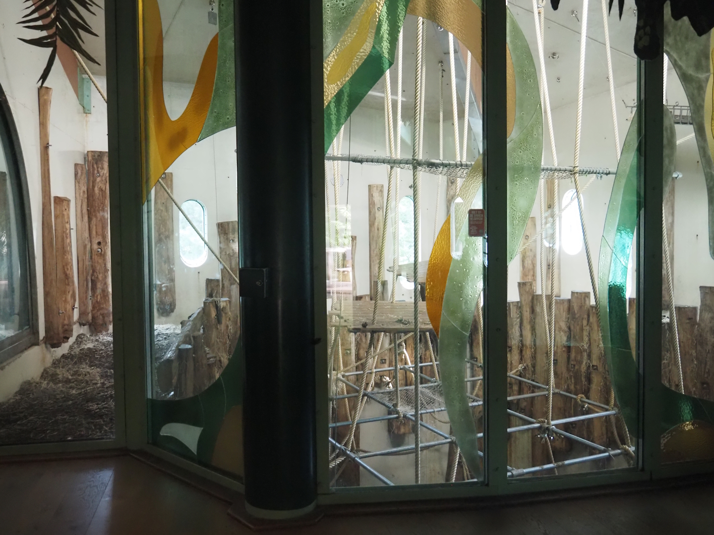 Bornean orangutan indoor exhibit, 2024-08-18