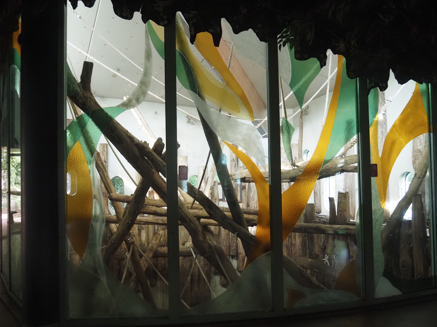 Bornean orangutan indoor exhibit, 2024-08-18