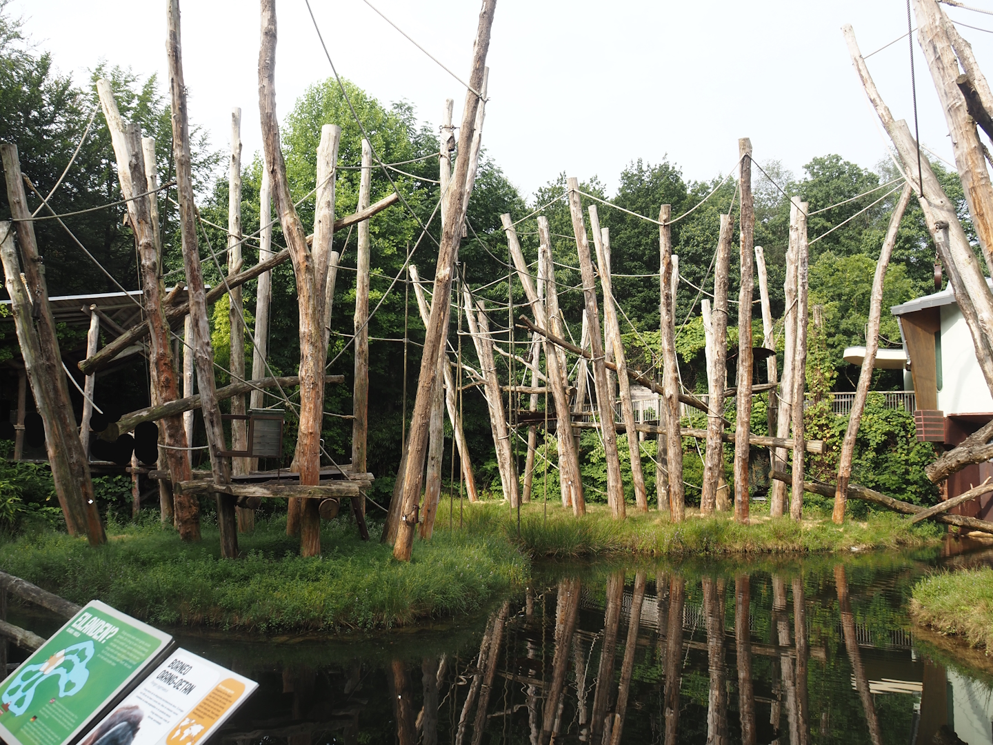 Bornean orangutan islands, 2024-08-18
