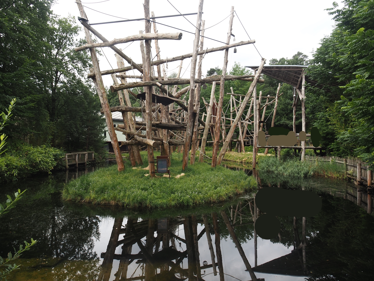 Bornean orangutan islands and viewing area, 2024-08-18