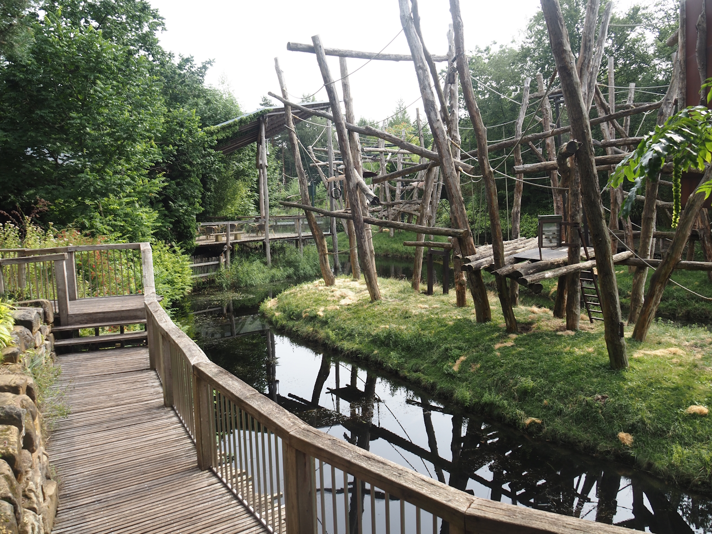 Bornean orangutan islands and viewing areas, 2024-08-18