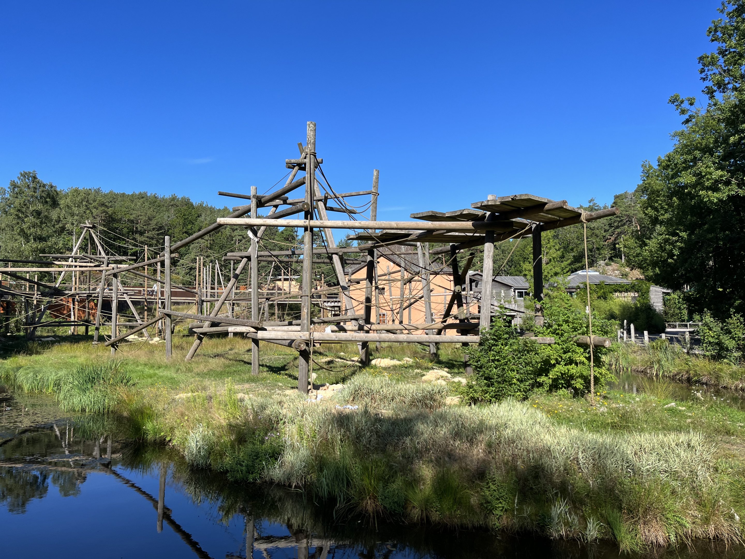 Bornean Orangutan/Javan Langur Exhibit