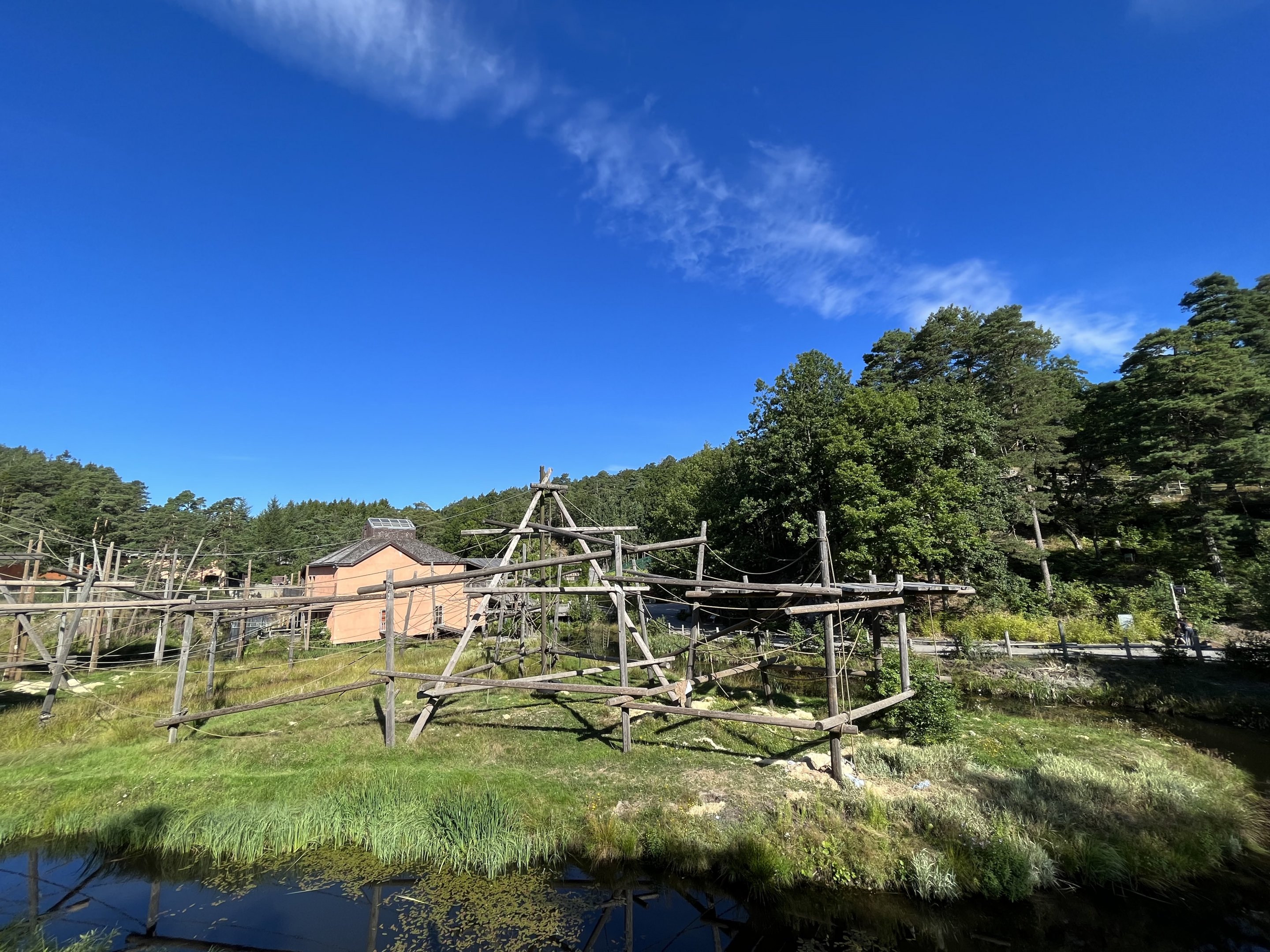 Bornean Orangutan/Javan Langur Exhibit
