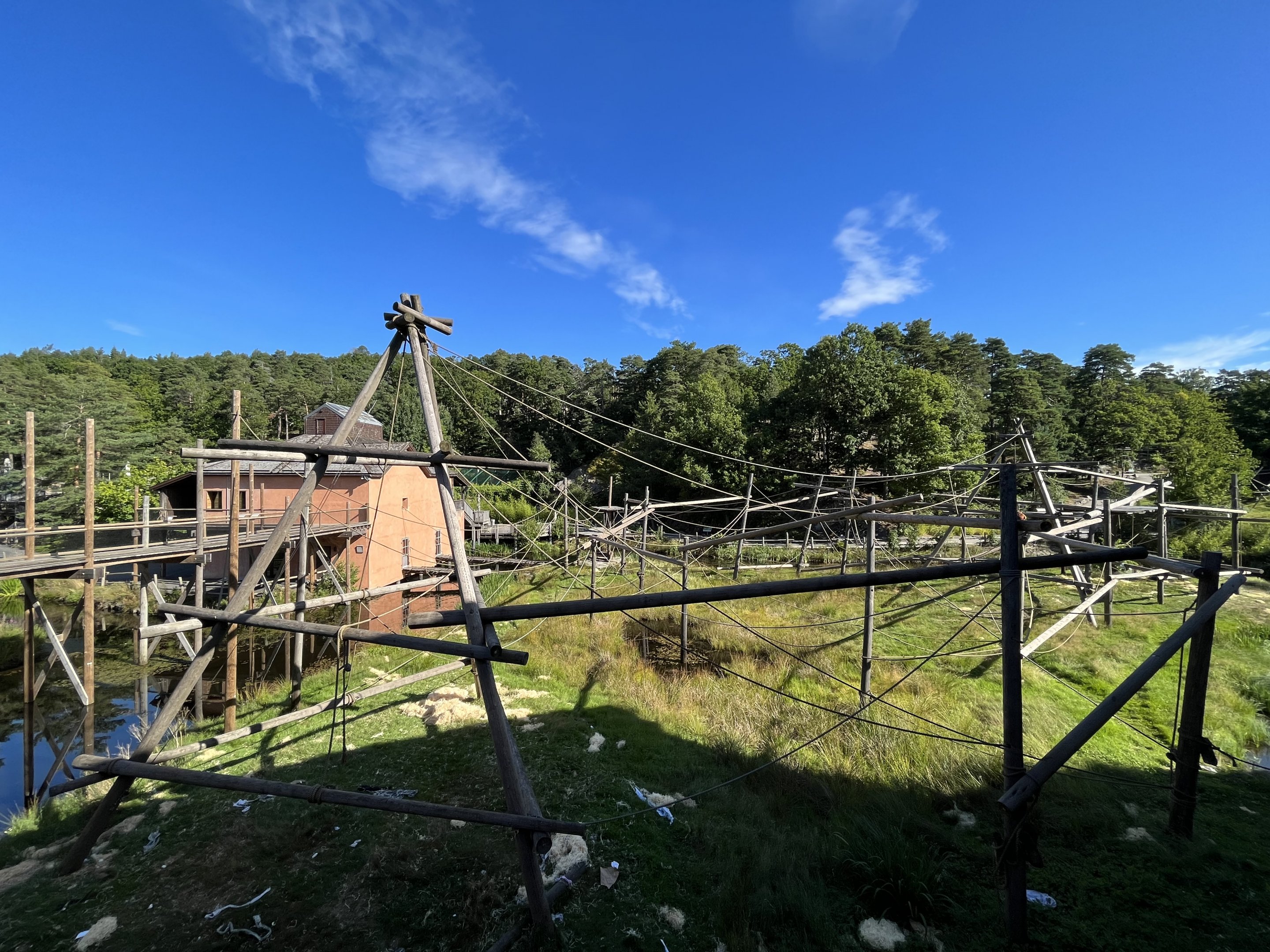 Bornean Orangutan/Javan Langur Exhibit