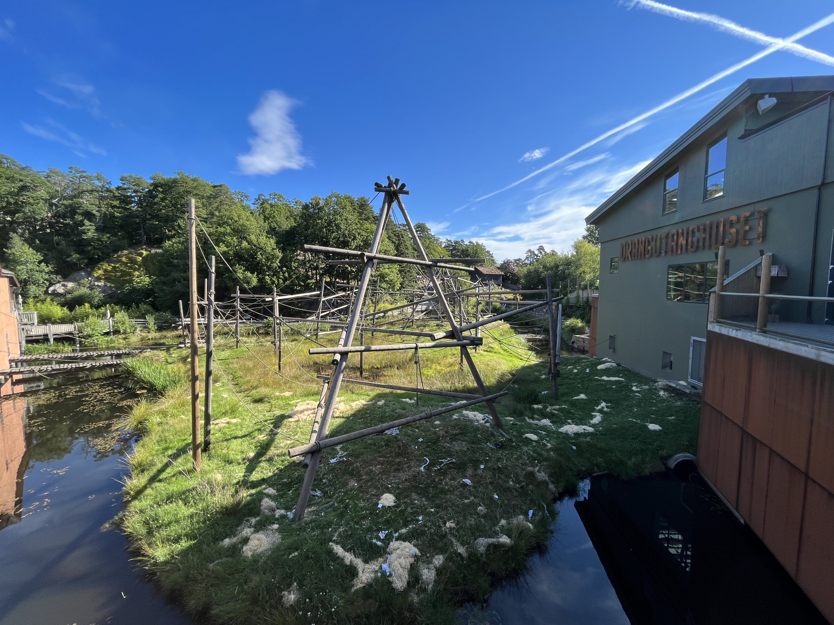 Bornean Orangutan/Javan Langur Exhibit