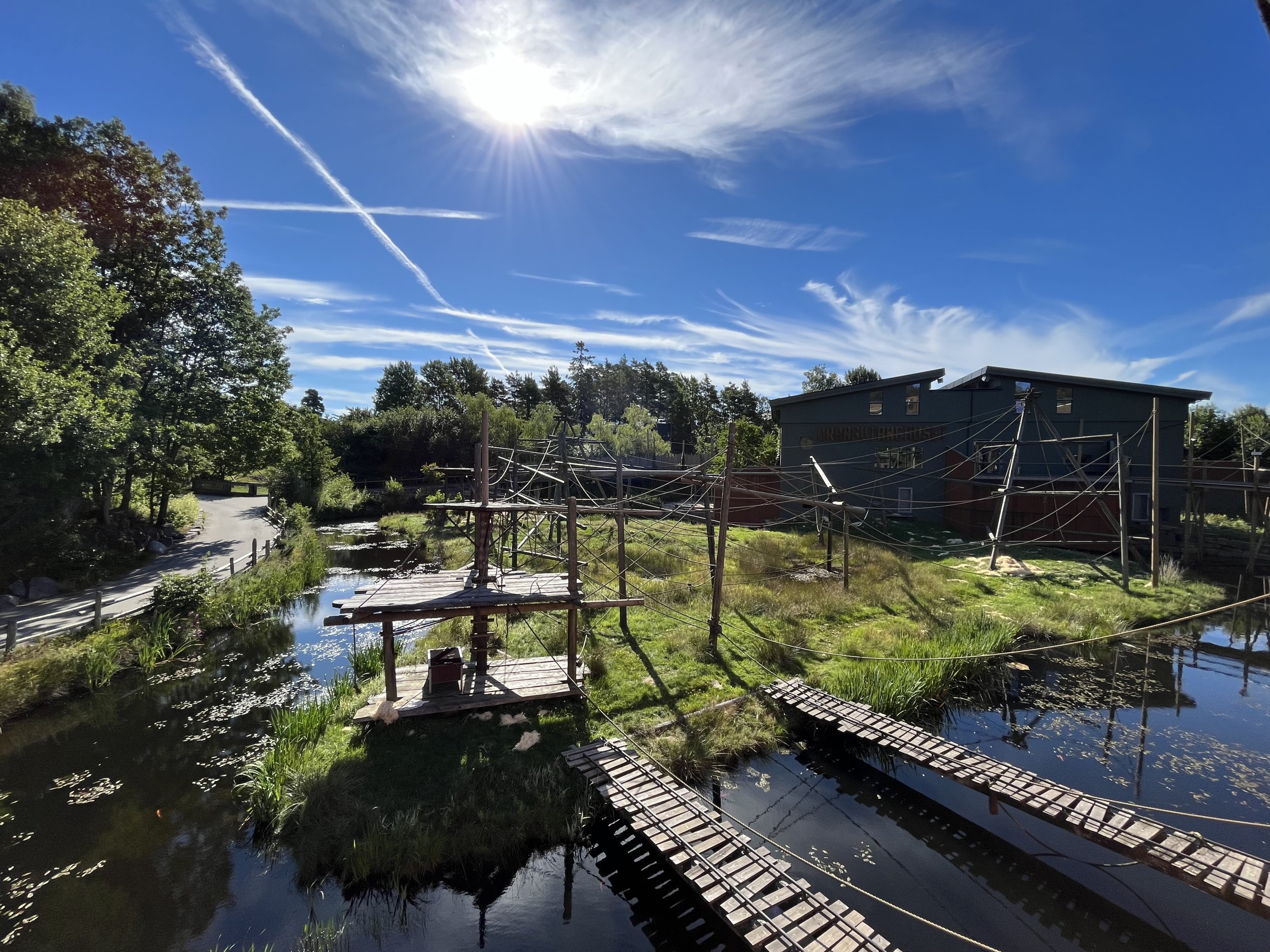 Bornean Orangutan/Javan Langur Exhibit