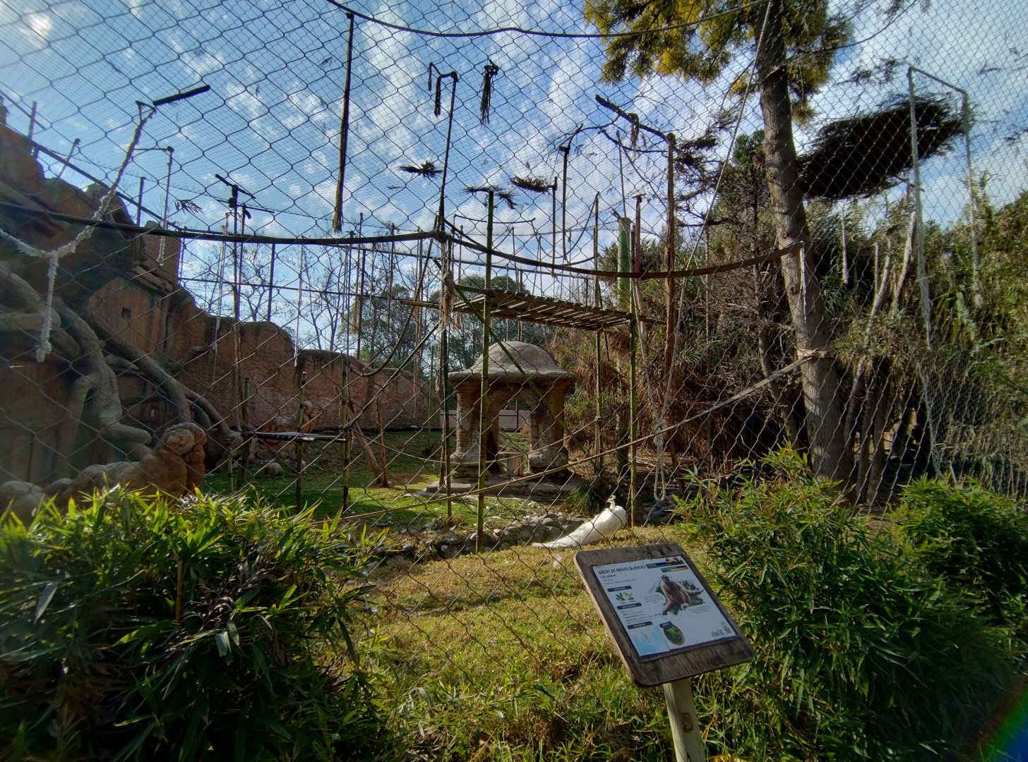 Bornean orangutan/lar gibbon exhibit - Buin zoo