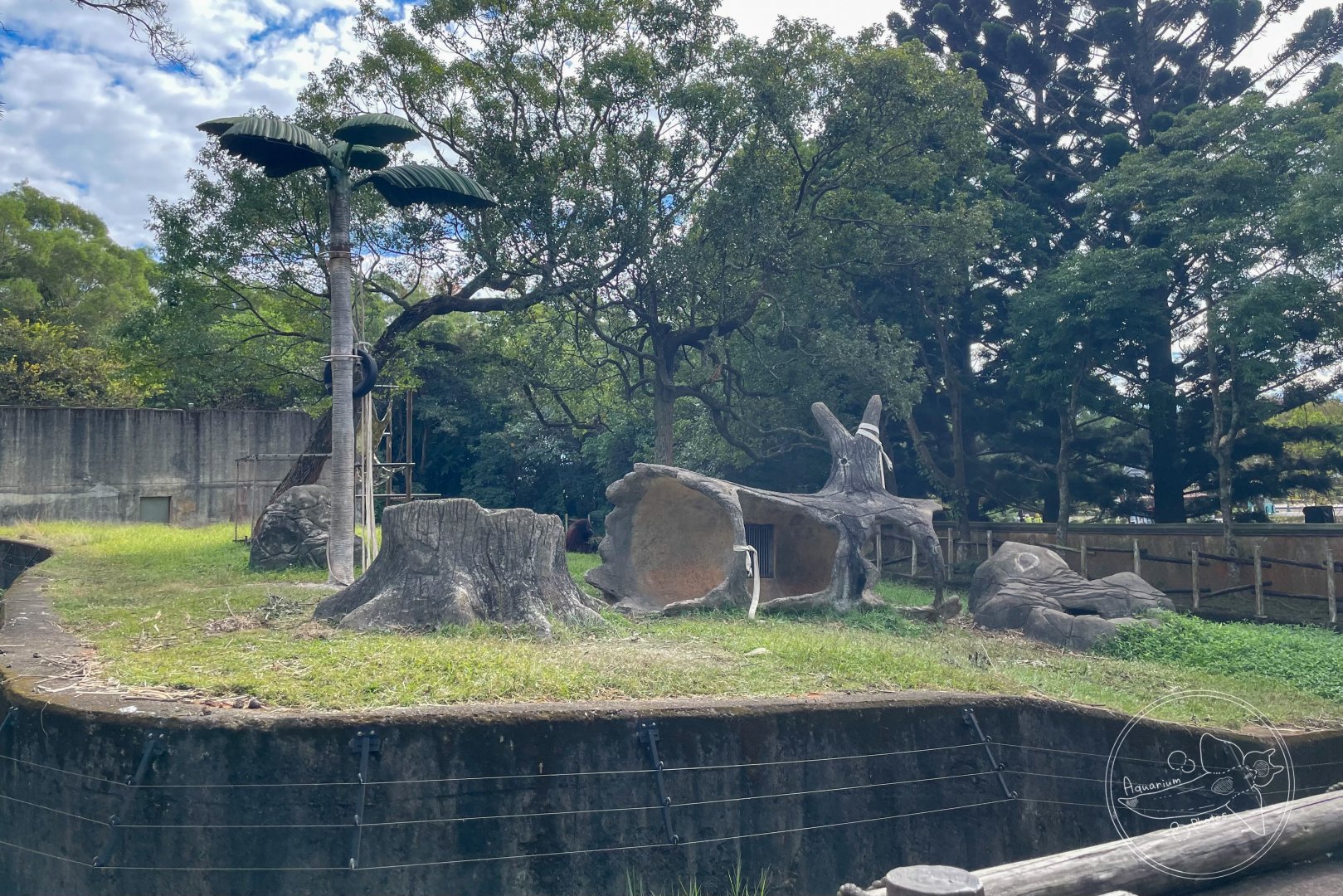 Bornean Orangutan (Pongo pygmaeus) Enclosure