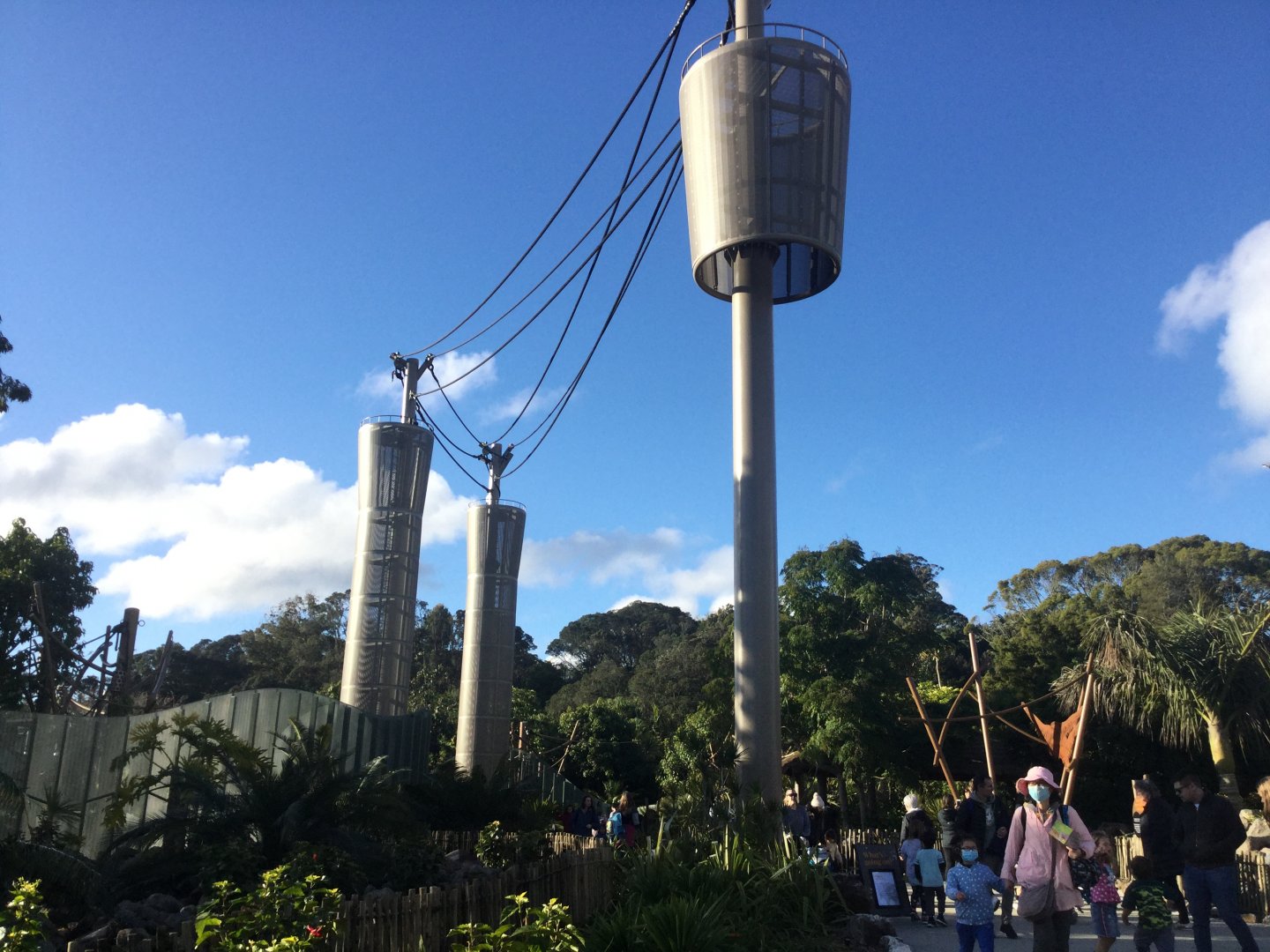 Bornean Orangutan/Siamang Climbing Towers