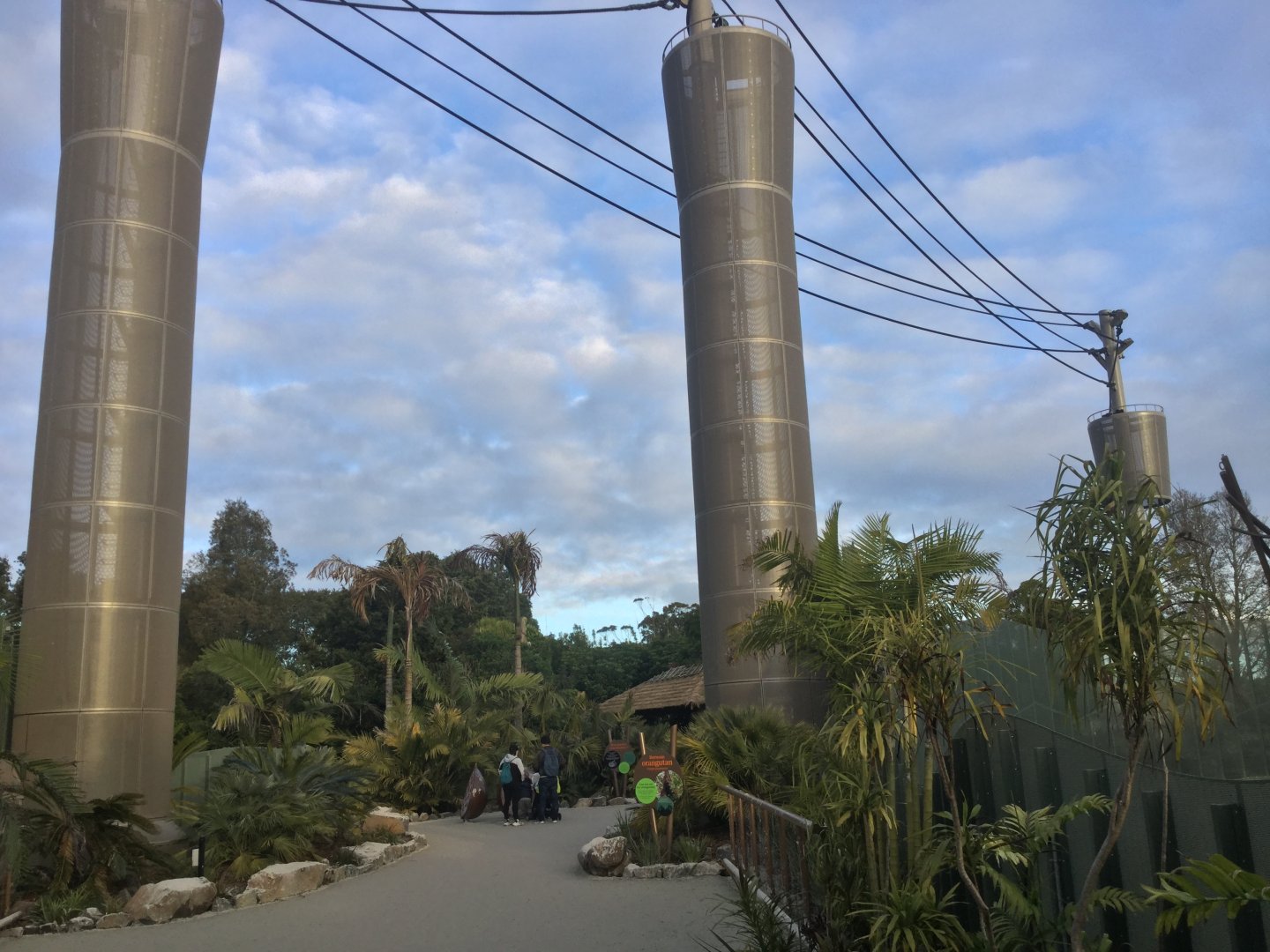 Bornean Orangutan/Siamang Climbing Towers