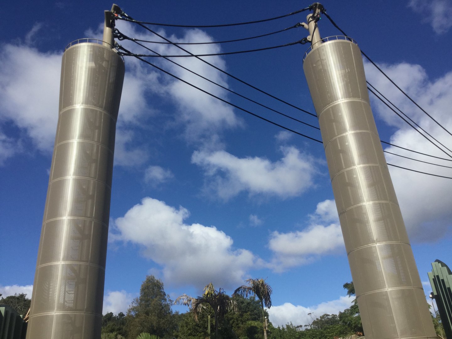 Bornean Orangutan/Siamang Climbing Towers