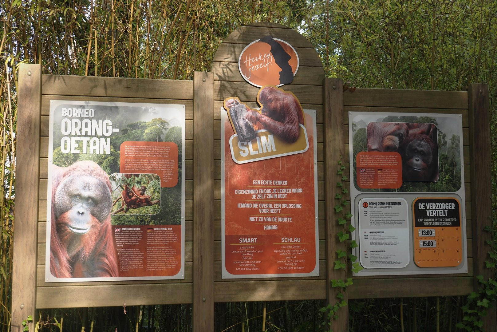 Bornean orangutan signage, 2024-08-18