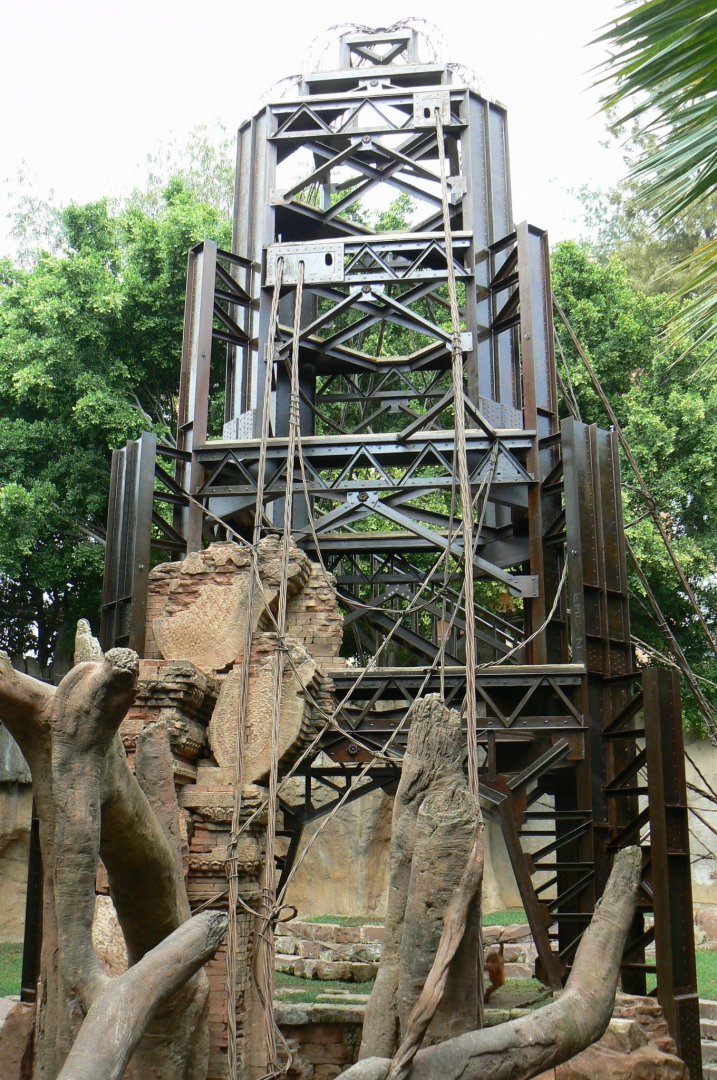 Bornean orangutans exhibit