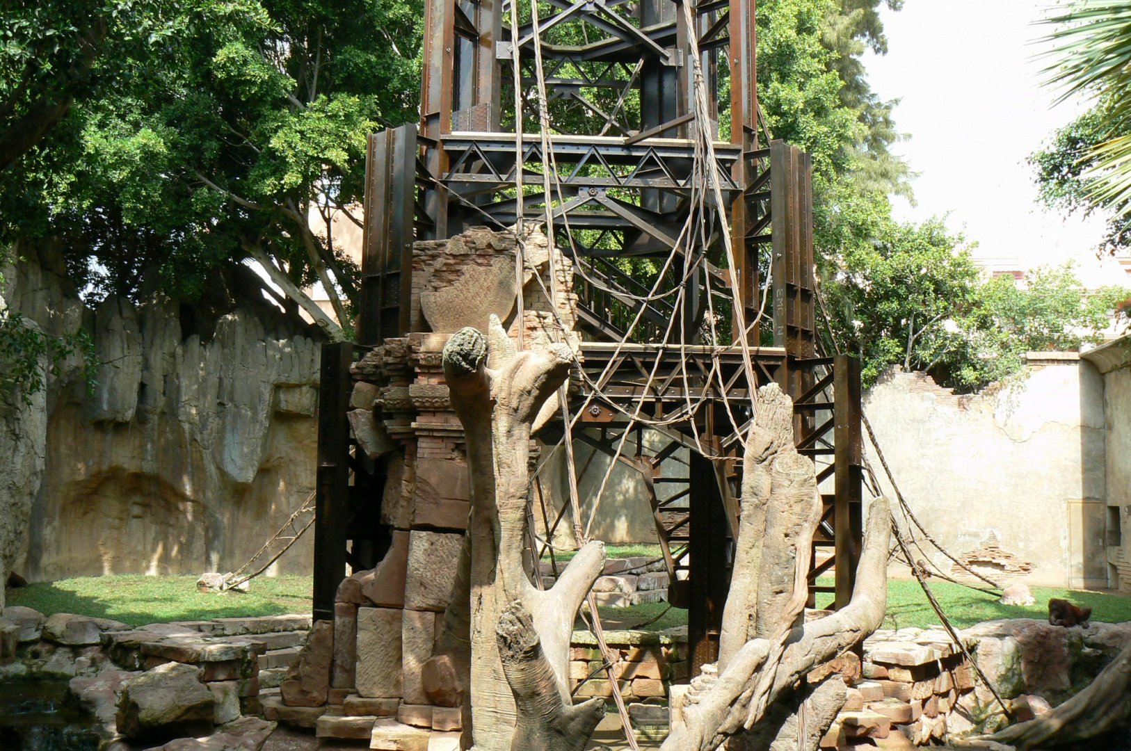 Bornean orangutans exhibit