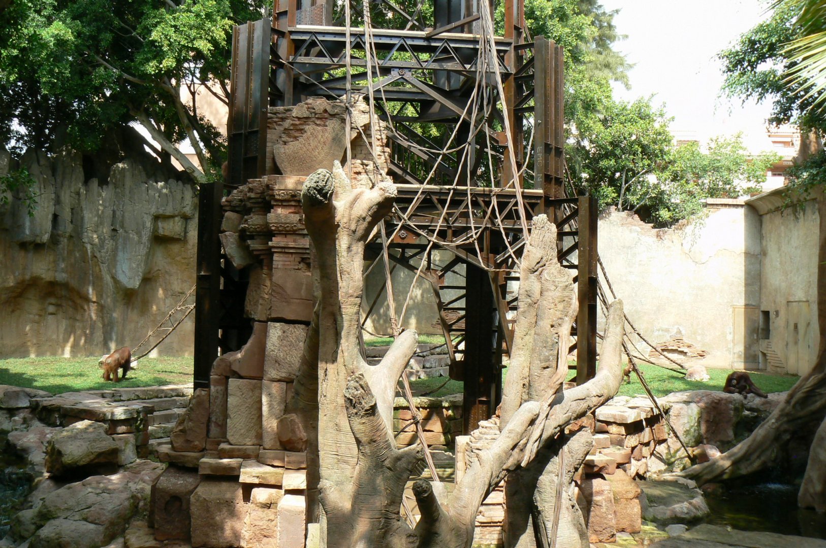 Bornean orangutans exhibit