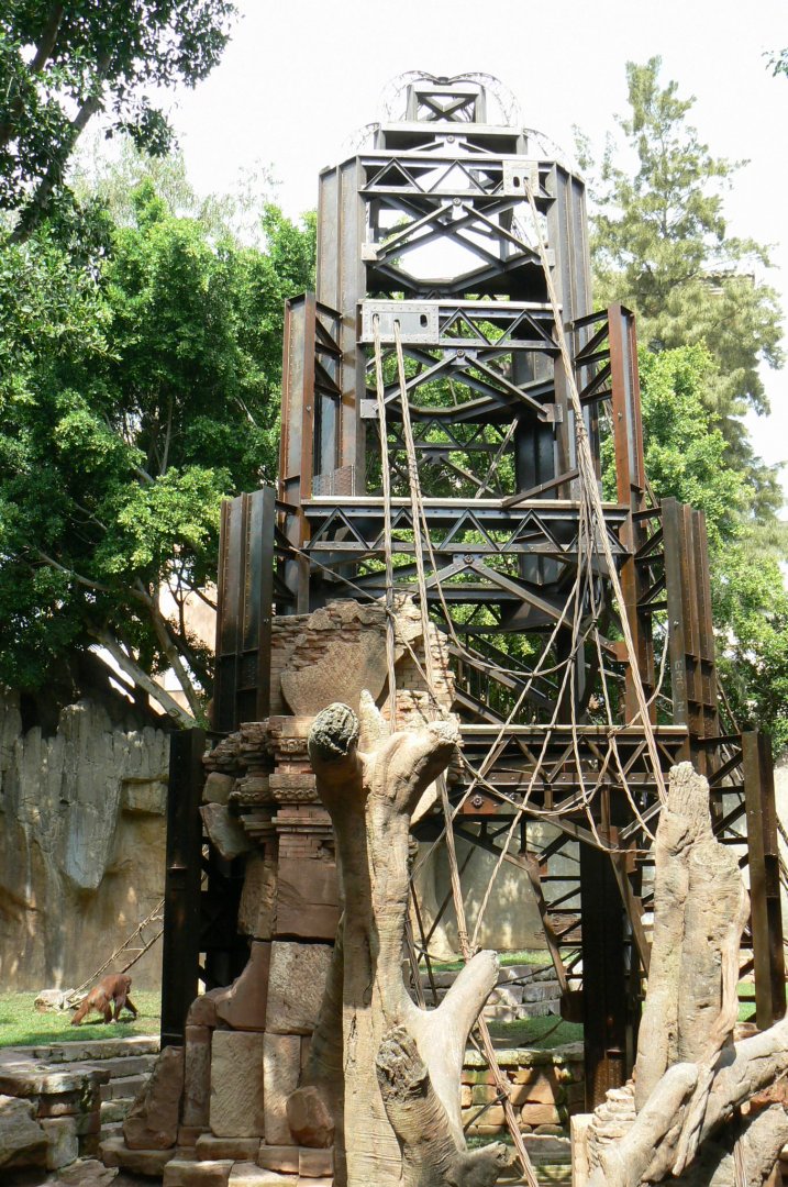 Bornean orangutans exhibit