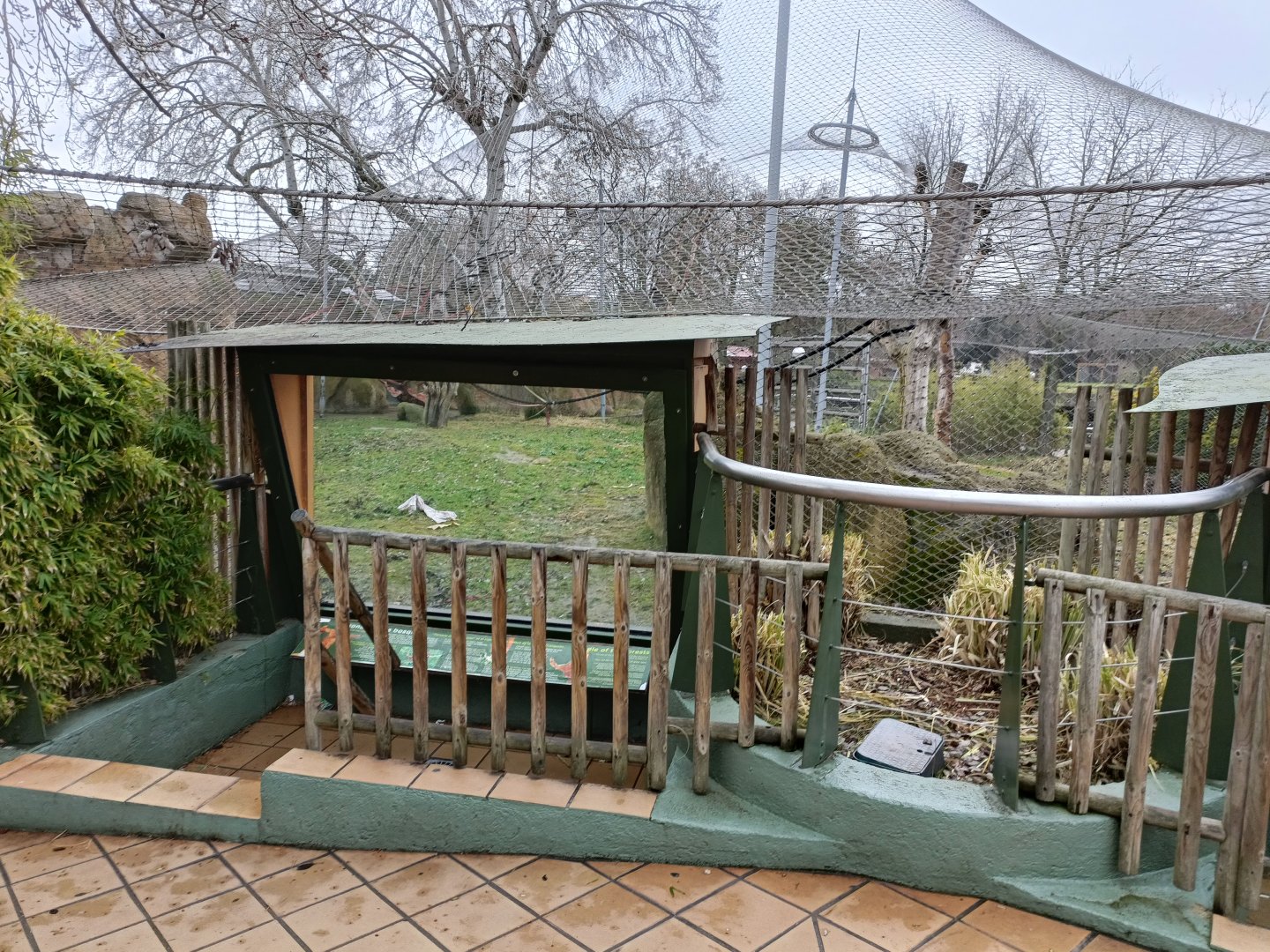 Bornean orangutans exhibit