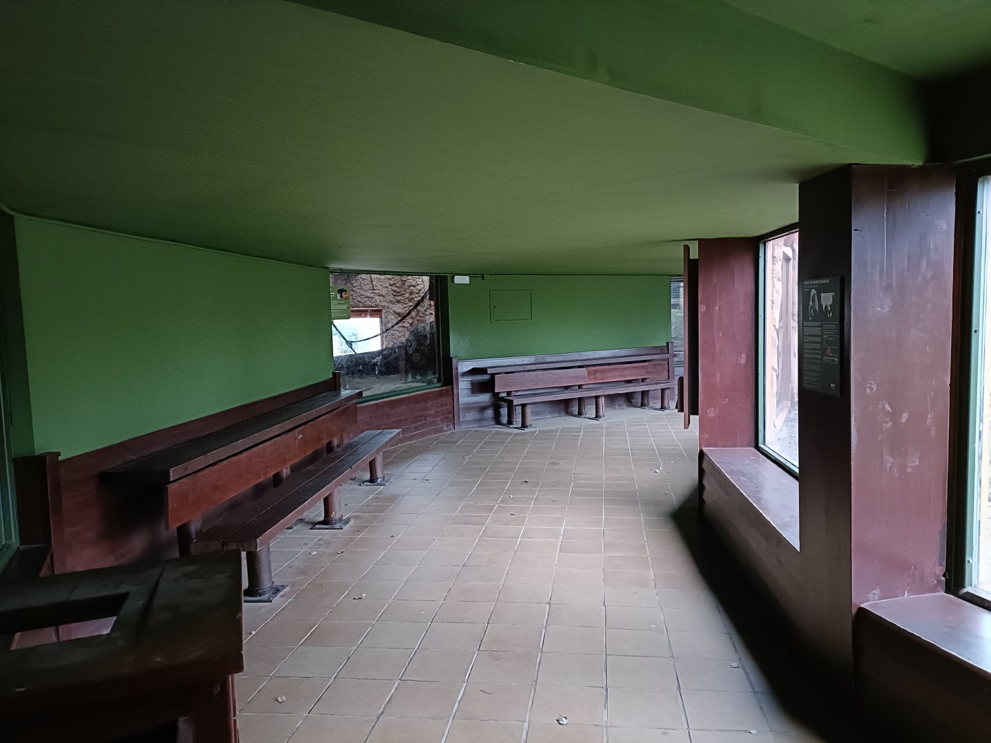 Bornean orangutans house