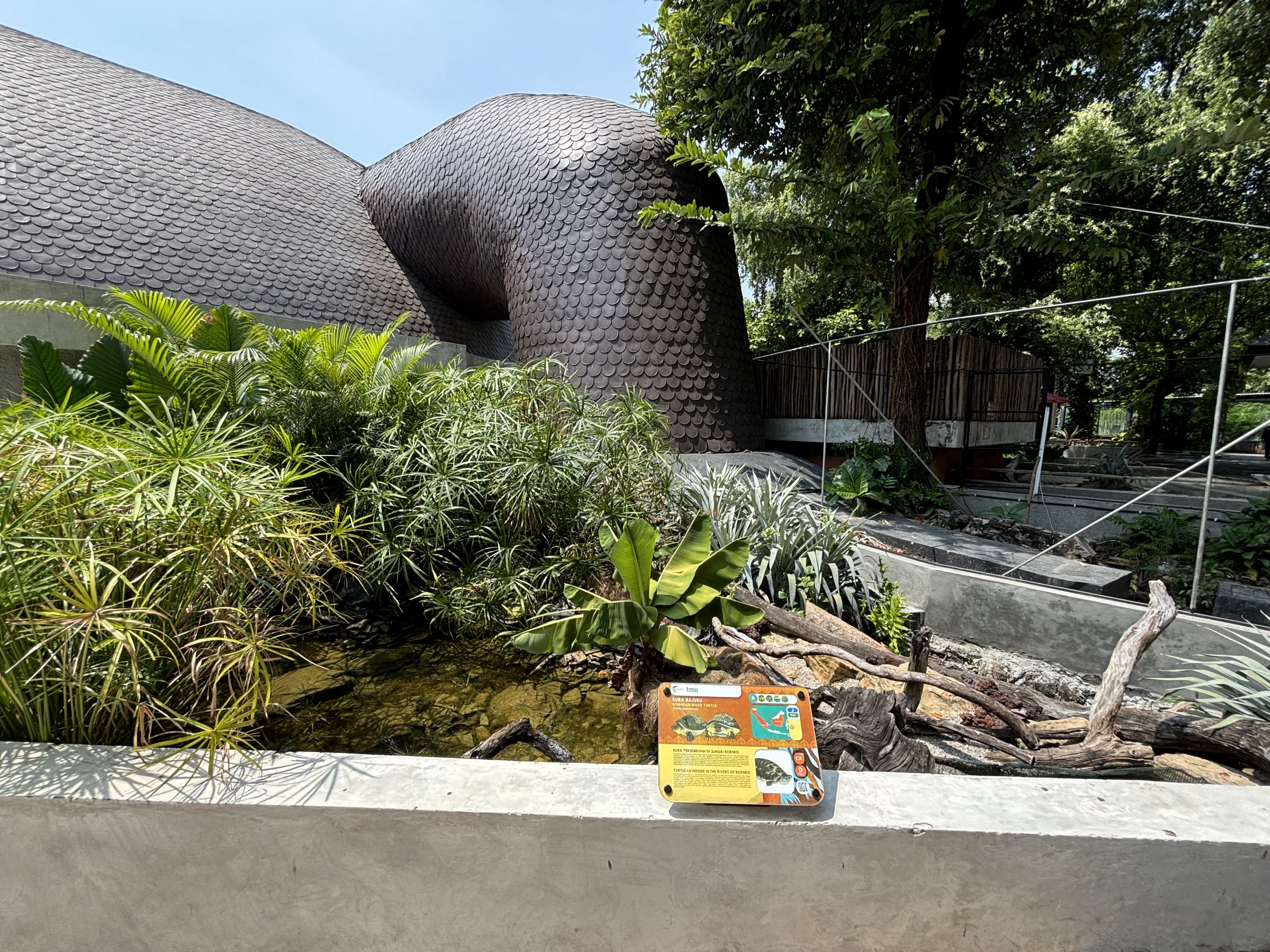 Bornean River Turtle Exhibit