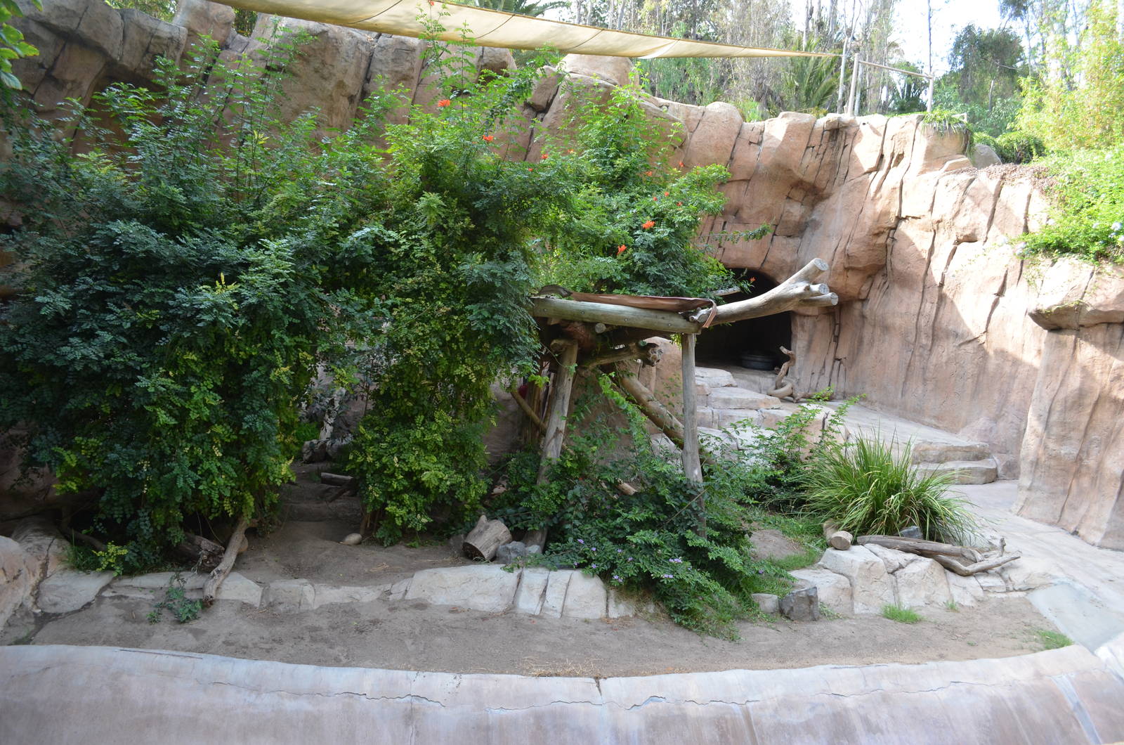 Bornean Sun Bear Habitat