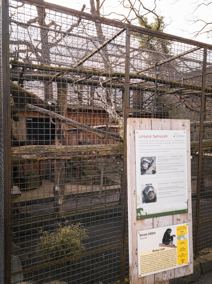 Borneo Gibbon cage