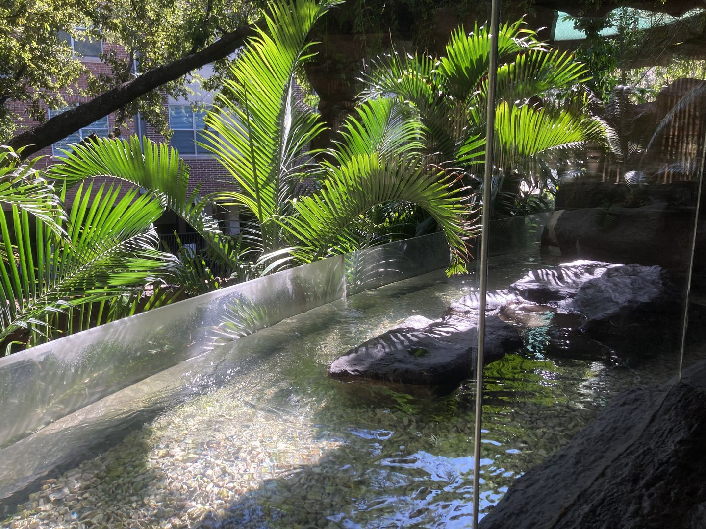 Borneo - Little Blue Penguin Exhibit