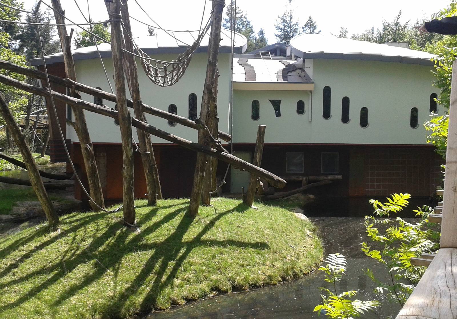 Borneo Orang Utan-house