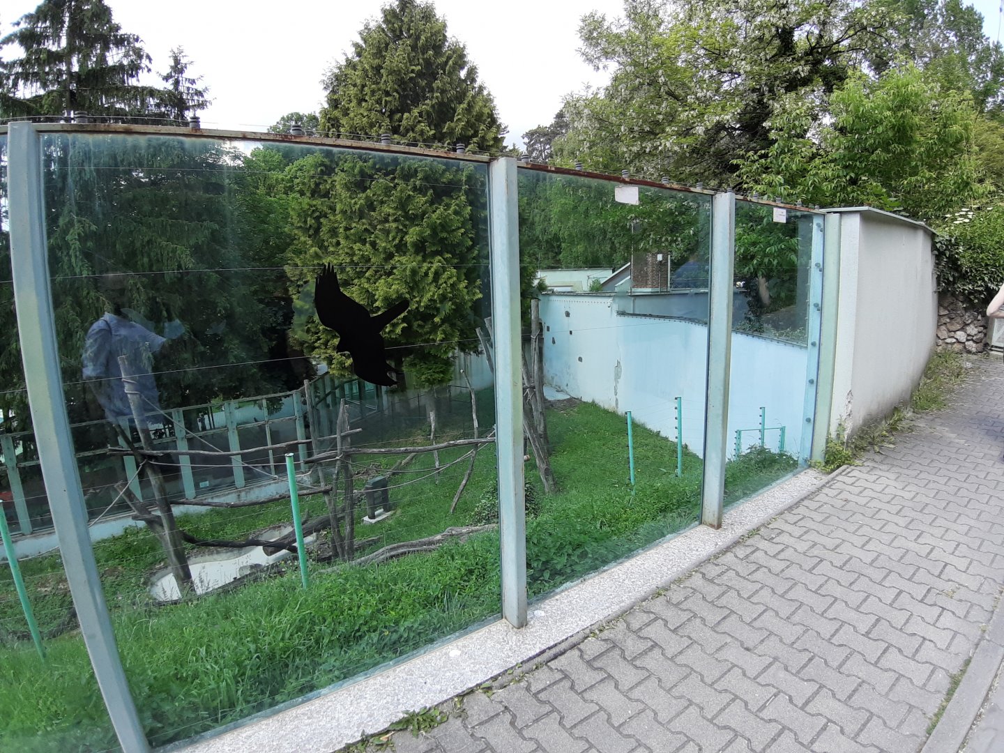 Borneo Orangutan exhibit