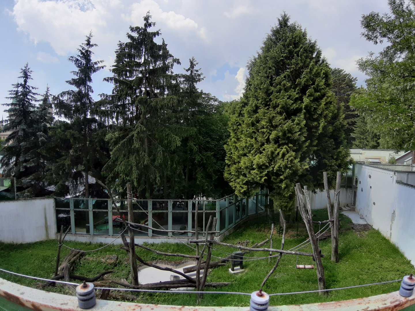 Borneo Orangutan exhibit