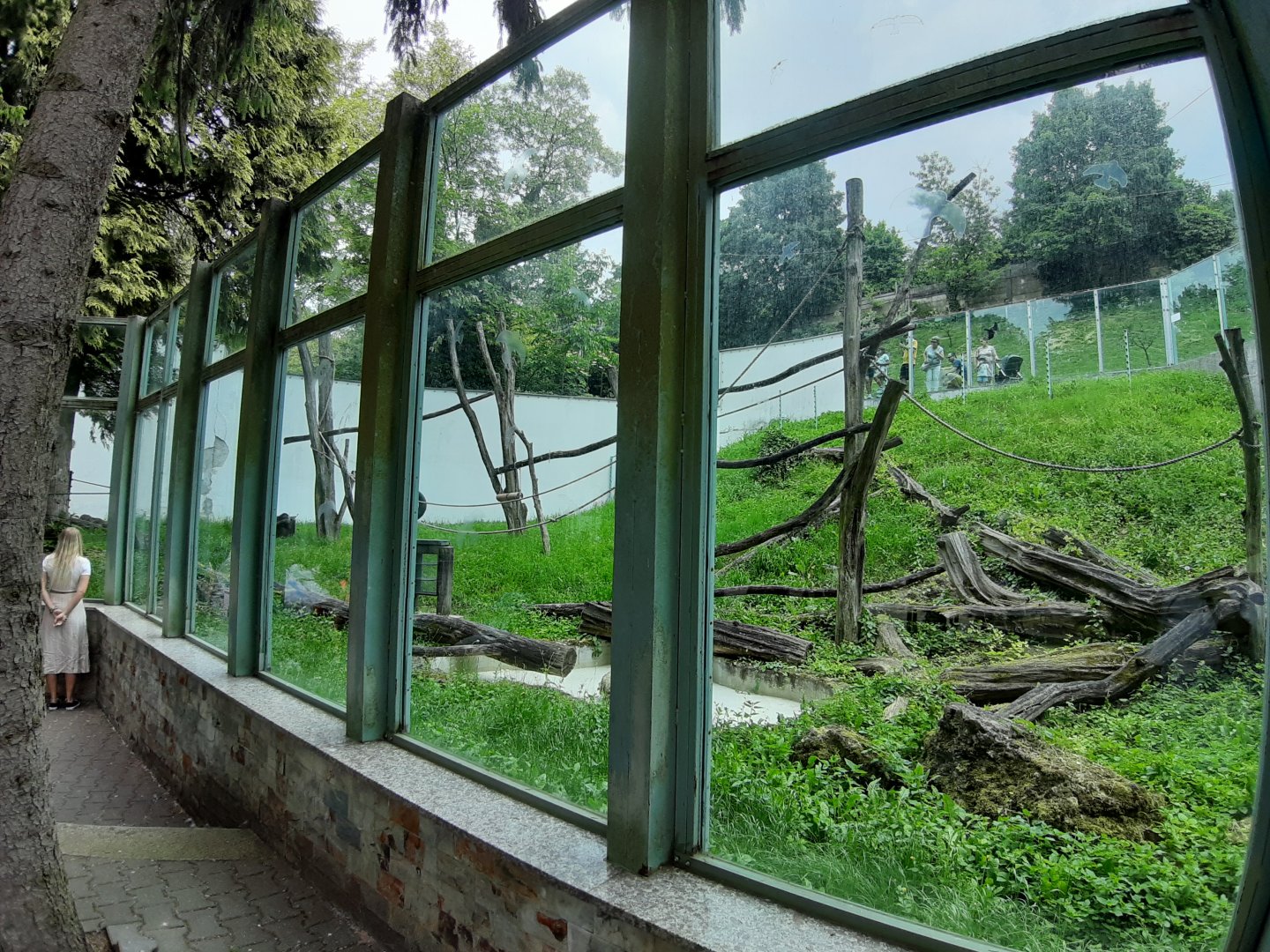 Borneo Orangutan exhibit