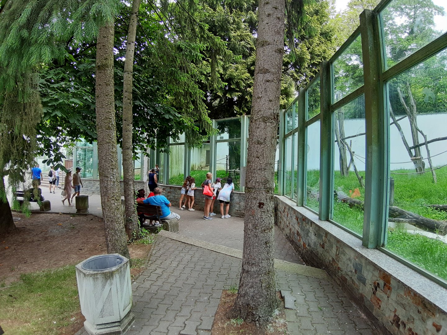 Borneo Orangutan exhibit