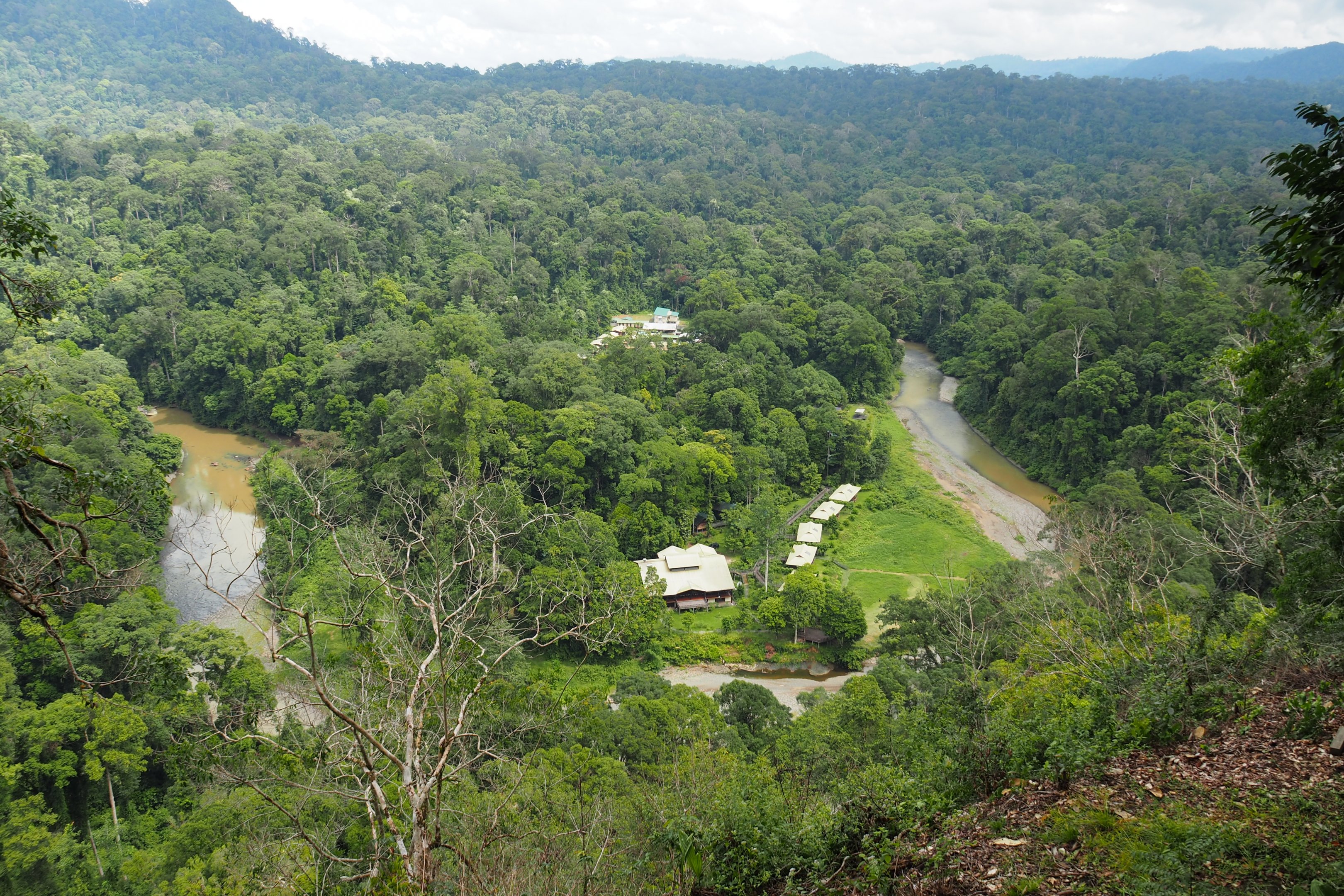 Borneo Rainforest Lodge - Danum Valley, Sabah, Borneo
