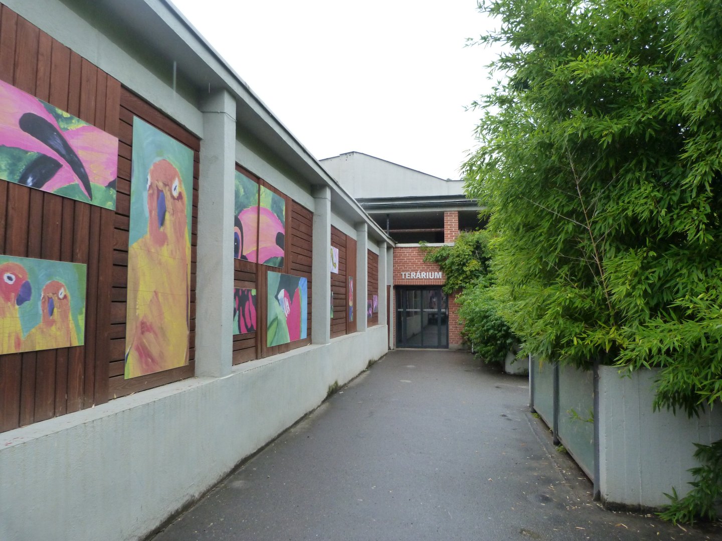 Bororo Reserve view -Zoo Praha (2025)