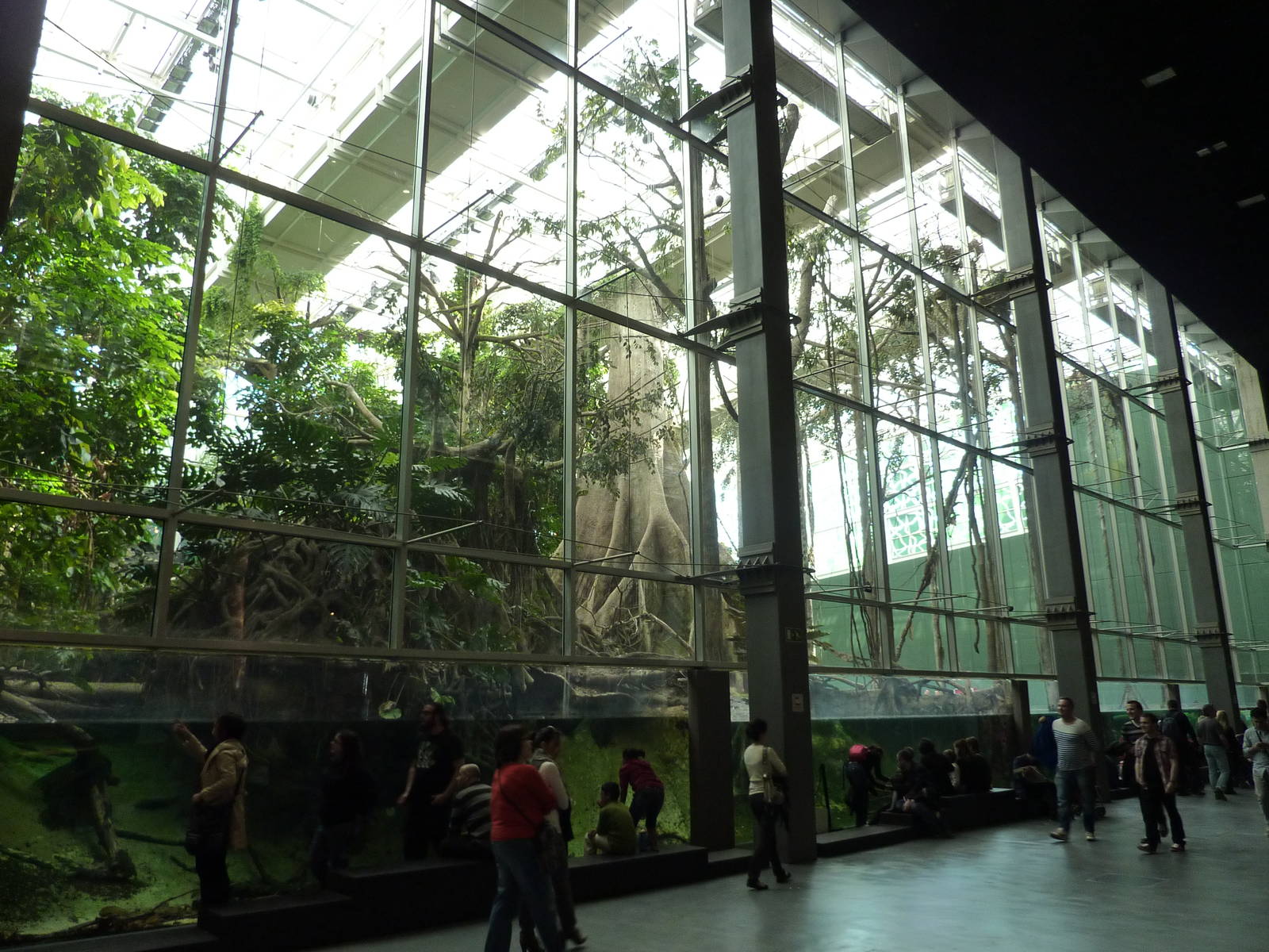 Bosc inundat, 7th April 2012.