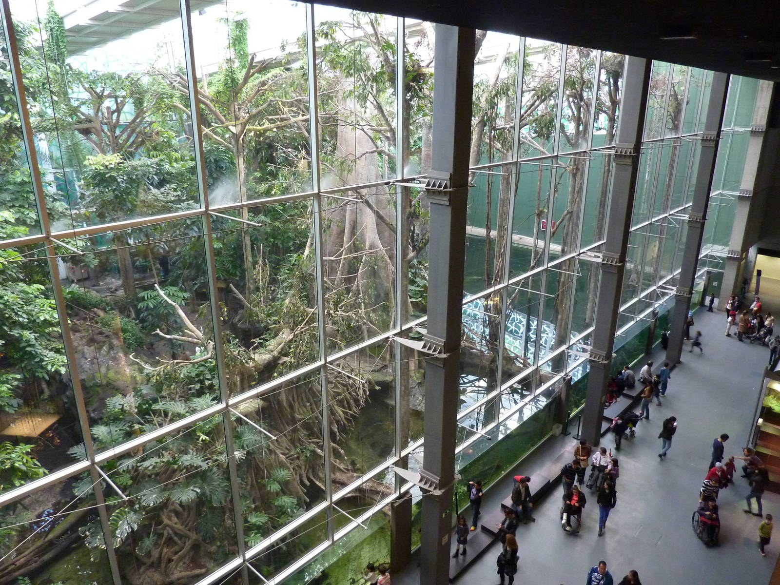 Bosc Inundat, 7th April 2012.