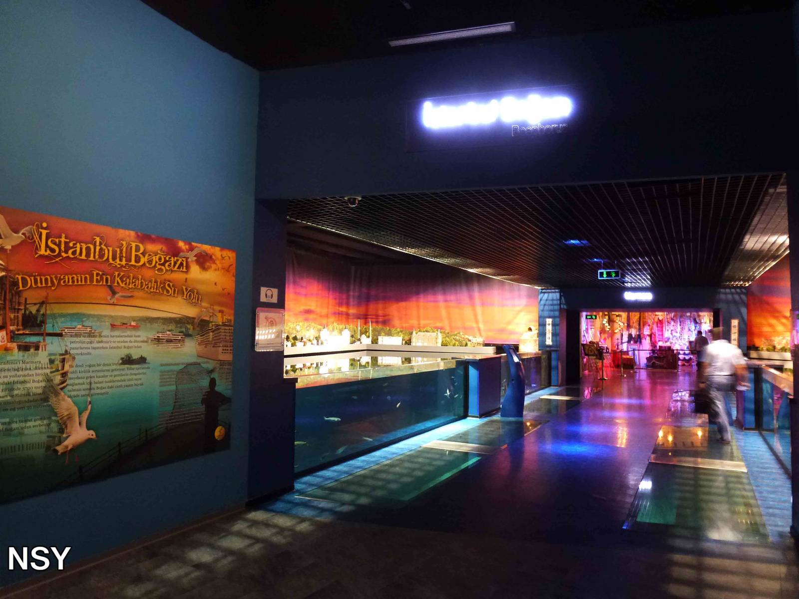 Bosphorus area, June 2013.