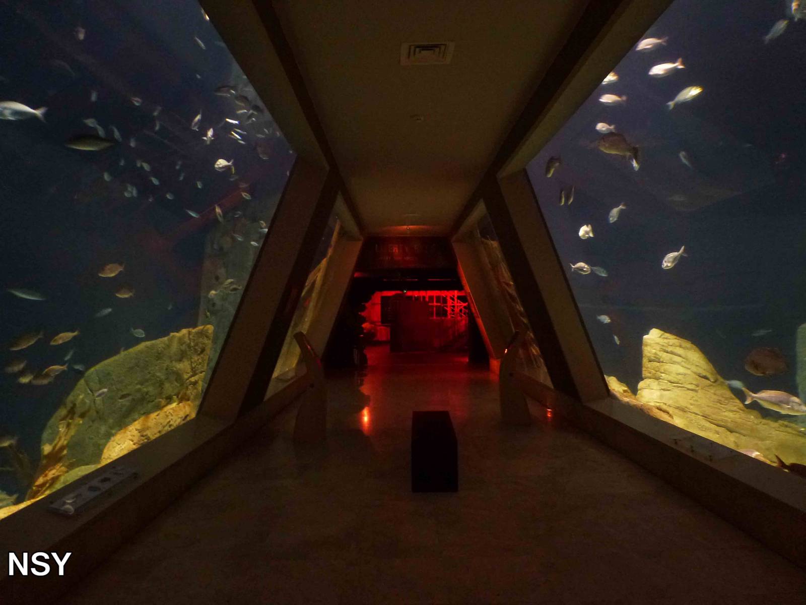 Bosphorus tanks underwater, June 2013.