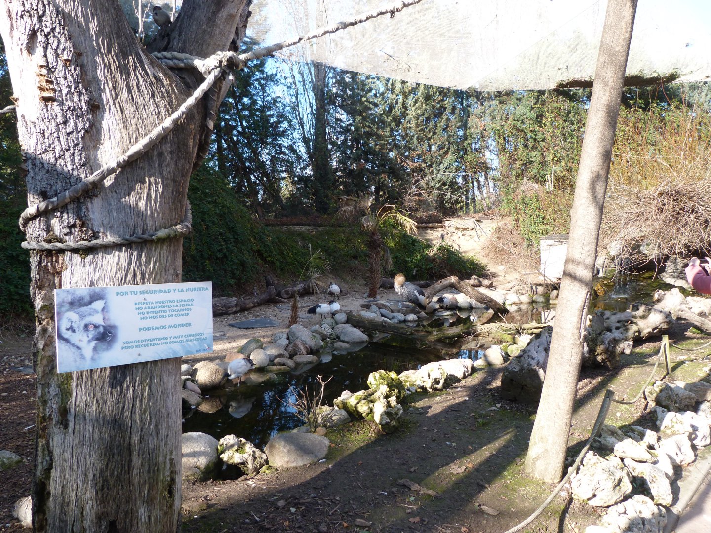 "Bosque Africano" walkthrough aviary -Faunia (2025)