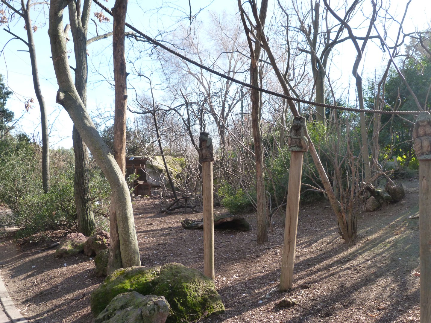 "Bosque Africano" walkthrough aviary -Faunia (2025)