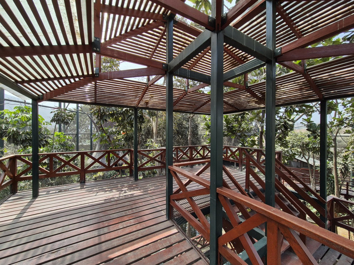Bosque de Aves viewing platform